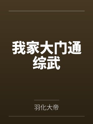 我家大门通综武by羽化大帝封面