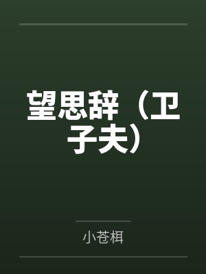 望思辞（卫子夫）封面