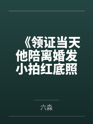 《领证当天他陪离婚发小拍红底照，我不嫁了》封面