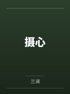 摄心封面