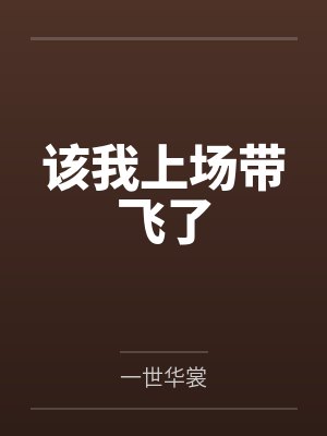 该我上场带飞了封面