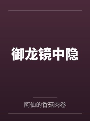 御龙镜中隐封面